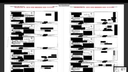 China usó sexo, donaciones y pasantes para influir en la política de EE. UU.: documentos desclasificados