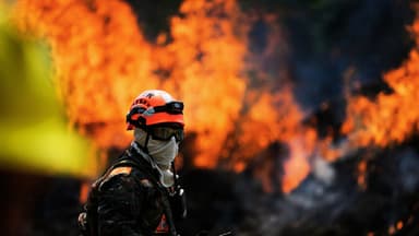 Guatemala y México acuerdan reforzar la lucha contra los incendios forestales