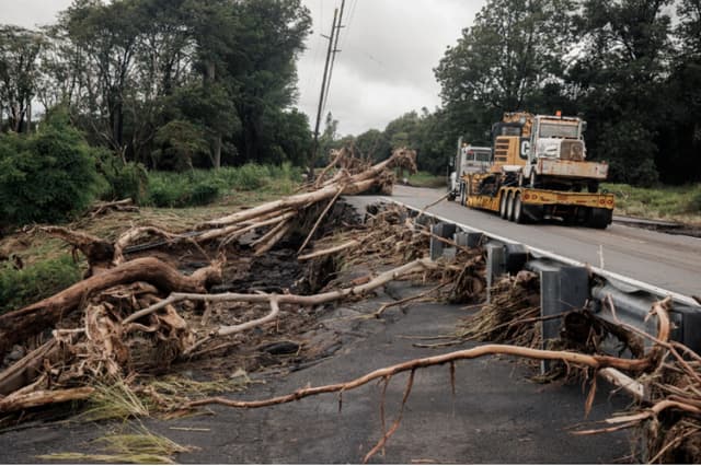 Se observan escombros a lo largo de la carretera Hawaiʻi Belt Road cerca de Pahala, Hawái, el domingo 16 de agosto de 2026, tras el paso de un sistema meteorológico severo por la zona. (Stephen Lam/San Francisco Chronicle vía AP).