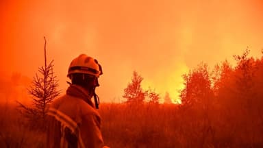 Incendio récord en Bélgica se acerca a Alemania y podría durar meses