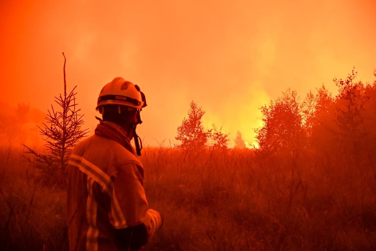 Un bombero observa las llamas en la reserva natural de Hautes Fagnes (High Fens) en Bélgica el 15 de agosto de 2026. (Cortesía de VHP)