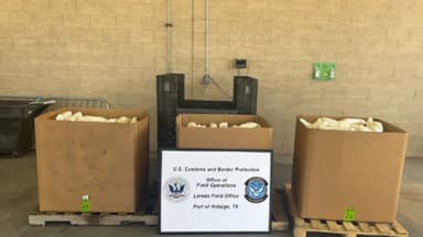 Interceptan USD 15 millones en metanfetamina en camión que transportaba apio en la frontera México-EE. UU.