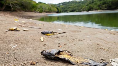 El avance de la sequía extrema golpea al 33 % de Puerto Rico, casi el doble en una semana