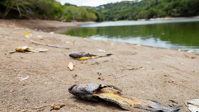 El avance de la sequía extrema golpea al 33 % de Puerto Rico, casi el doble en una semana