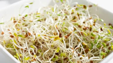 Brotes de alfalfa se relacionan con infecciones bacterianas en 15 estados de EE. UU.