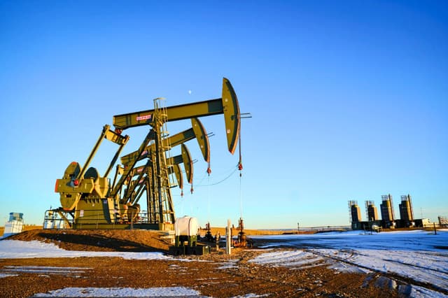Gatos de bombeo para campos petrolíferos en Williston, Dakota del Norte, el 21 de diciembre de 2023. (Madalina Vasiliu/The Epoch Times).