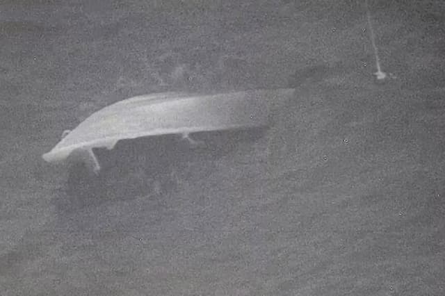 La JIATF-Sur orquestó una importante operación de interceptación en el Pacífico, donde una embarcación presuntamente sobrecargada de drogas naufragó en alta mar. (Cortesía de la JIATF-Sur).