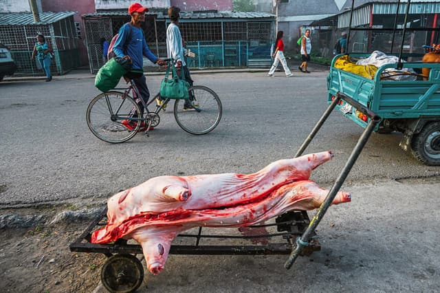 La gente pasa junto a un cerdo sacrificado en una calle de La Habana el 18 de agosto de 2026. (YAMIL LAGE / AFP vía Getty Images)
