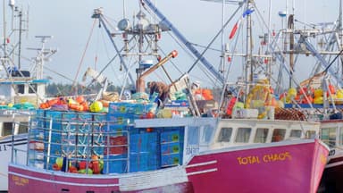 Canadá elimina los aranceles de represalia al marisco de EE. UU. tras solicitudes de la industria