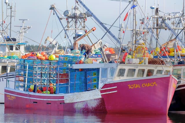 En esta foto de archivo, se ven barcos pesqueros amarrados en el muelle de Dennis Point, en Lower West Pubnico, Nueva Escocia. (The Canadian Press/Andrew Vaughan)