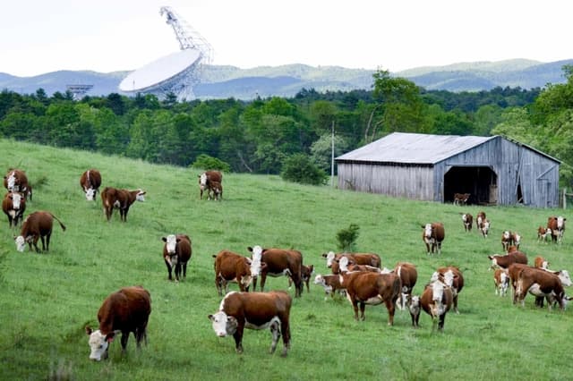 Terrenos agrícolas en Green Bank, Virginia Occidental, el 20 de mayo de 2024. (Brendan Smialowski/AFP vía Getty Images)