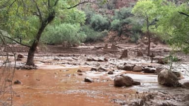 Una inundación repentina deja 1 muerto y 15 desaparecidos en el Gran Cañón