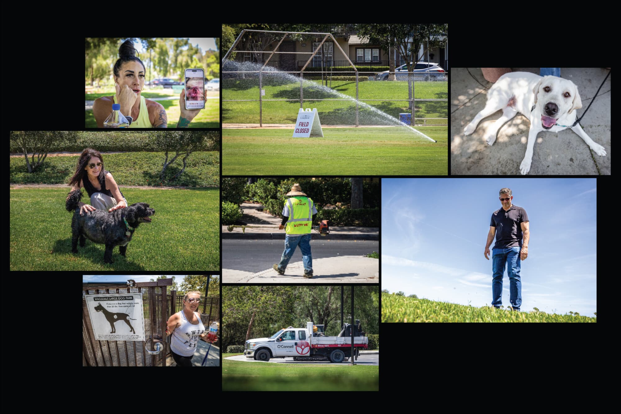 Los residentes temen que los verdes céspedes y jardines de Ladera Ranch, California, sean tóxicos para las mascotas y las personas. (John Fredricks/The Epoch Times)