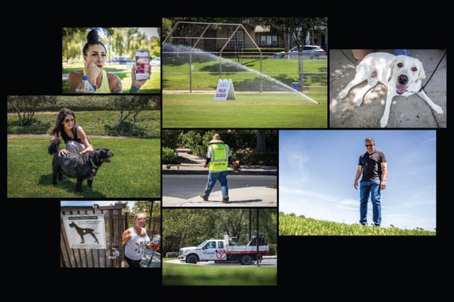 Los residentes temen que los verdes céspedes y jardines de Ladera Ranch, California, sean tóxicos para las mascotas y las personas. (John Fredricks/The Epoch Times)