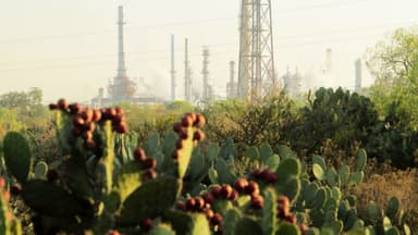 Autoridades aseguran 800,000 litros de hidrocarburo durante un operativo en Puebla