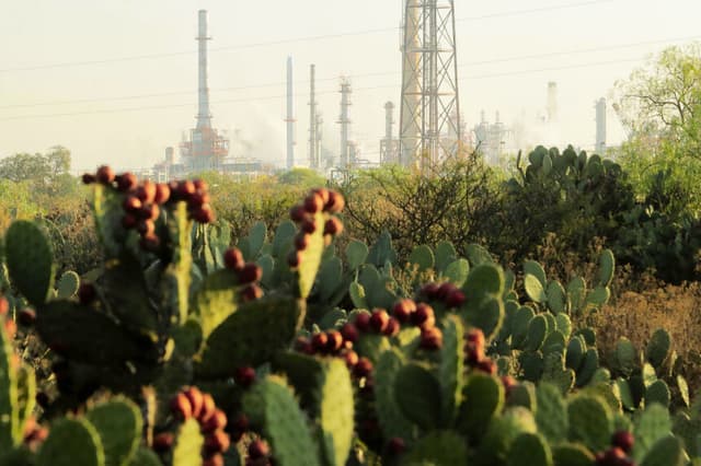 Vista general de la refinería el 22 de enero de 2019 en Tula, México. (Héctor Vivas/Getty Images)