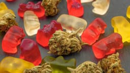 Las gomitas de cannabis afectan el desempeño al volante horas después de su consumo, dice un estudio