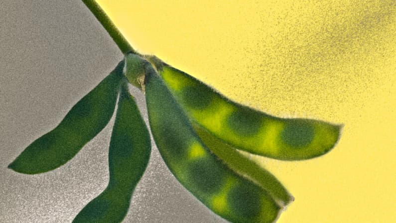 Nuevos pesticidas PFAS invaden nuestro sistema alimenticio y desatan un dilema