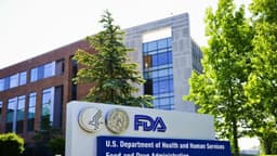 Nuevo brote de salmonela vinculado a brotes de brócoli: FDA