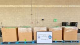 Incautan más de 25 MDD en metanfetamina oculta en verduras procedente de México