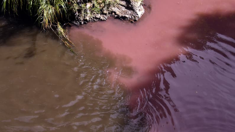 Guatemala investiga por qué un río que atraviesa su capital amaneció teñido de rojo