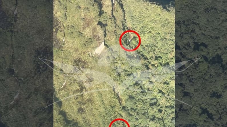 Equipos de rescate localizan muertos a los cinco pasajeros del avión siniestrado en Colombia