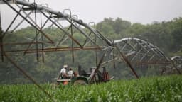 USDA prohíbe imponer normas ambientales y sociales a lecheros