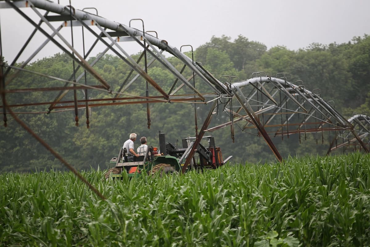 En esta foto de archivo, unos agricultores de Indiana recorren su campo de maíz en tractor. (Scott Olson/Getty Images).