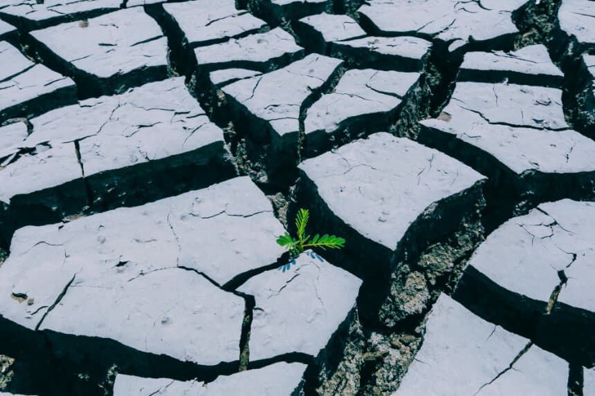 Una planta intenta crecer en el lugar donde antes se encontraba la laguna de Tisma, ahora completamente seca, en Tisma, Masaya, a unos 40 km de Managua, el 2 de abril de 2016. (INTI OCON/AFP vía Getty Images)