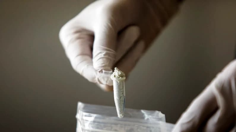 China amplía control a exportación de precursores de drogas antes de la cumbre Trump-Xi