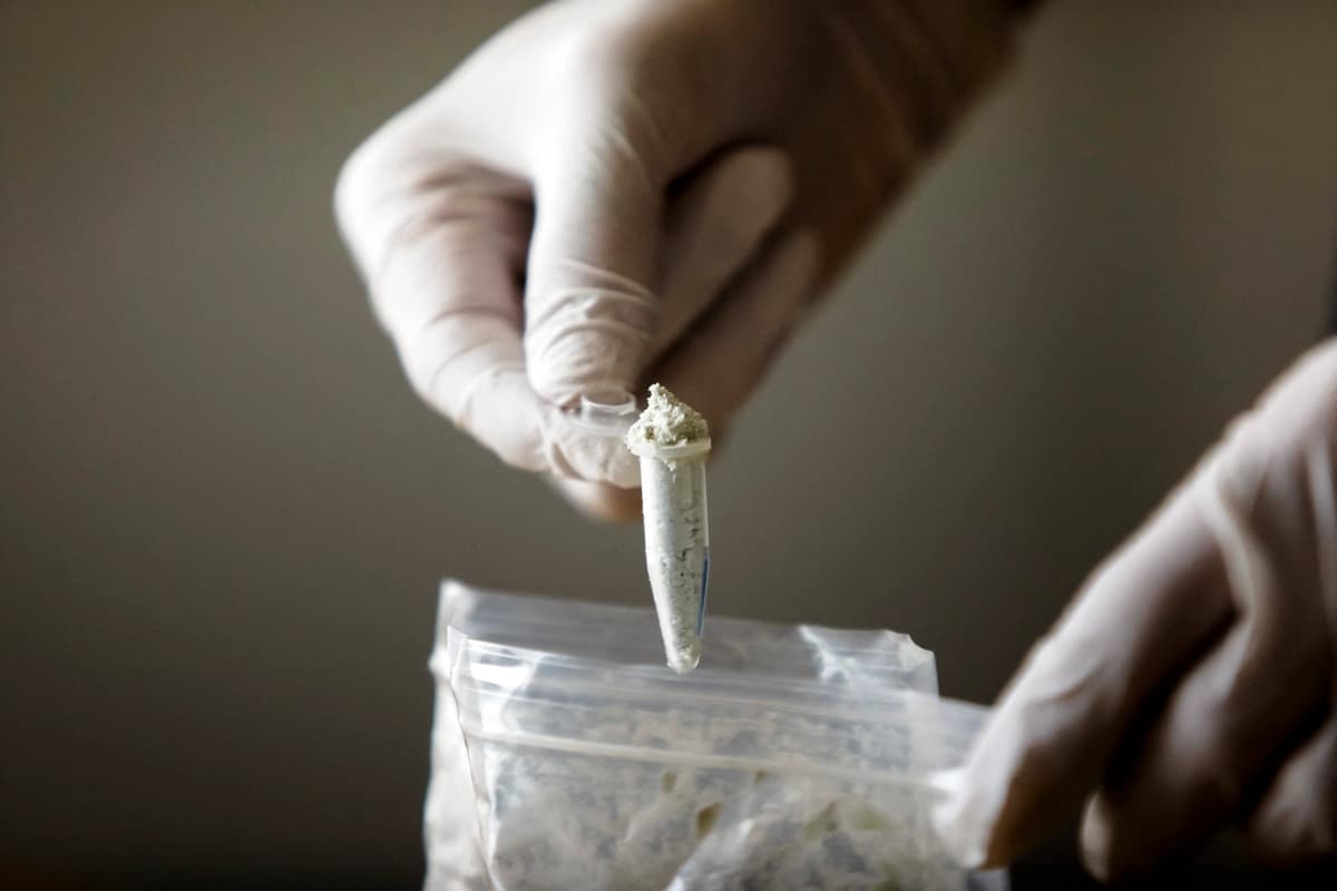 China amplía control a exportación de precursores de drogas antes de la cumbre Trump-Xi
