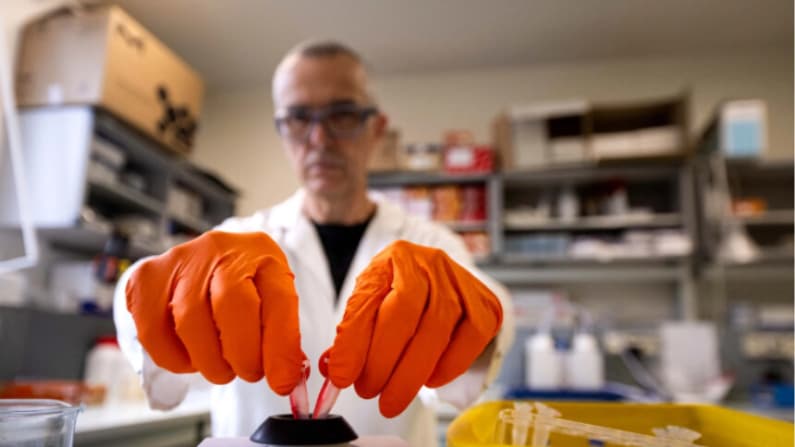 Medicare pagó de más por análisis de laboratorio y reducirá tarifas en 2027