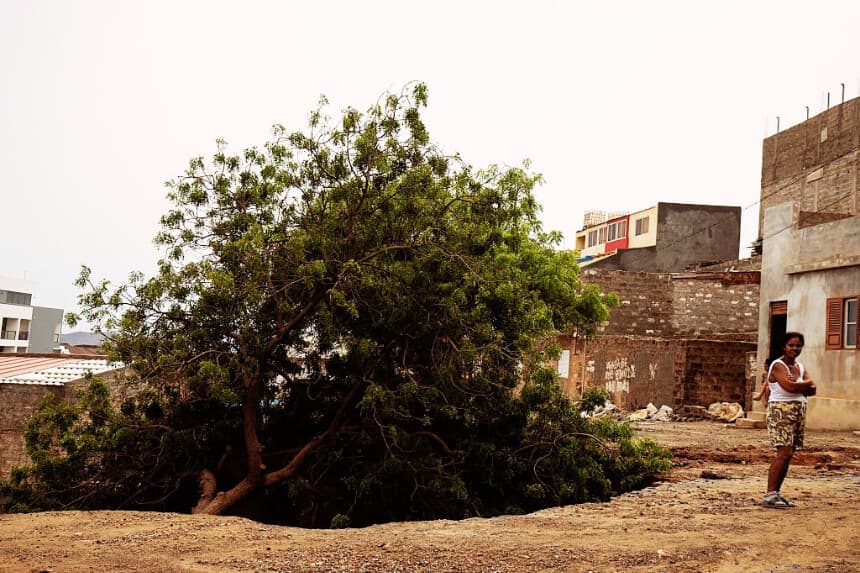Un hombre se encuentra junto a un árbol derribado por las lluvias torrenciales durante las inundaciones en Mindelo, Cabo Verde el 13 de agosto de 2025. (QUEILA FERNANDES/AFP vía Getty Images)