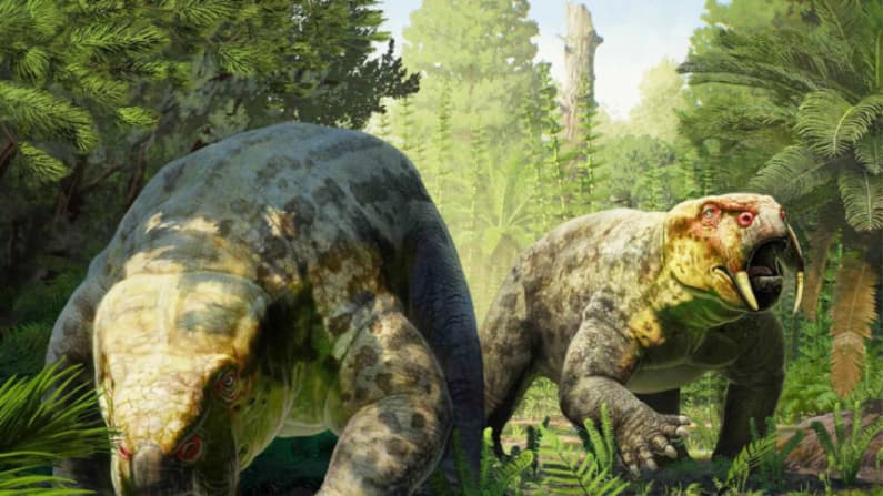 Científicos hallan en África criatura de 240 millones de años que redefine el origen de los dinosaurios
