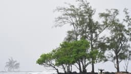 Huracanes en el Pacífico amenazan a Hawái y México con inundaciones y olas altas