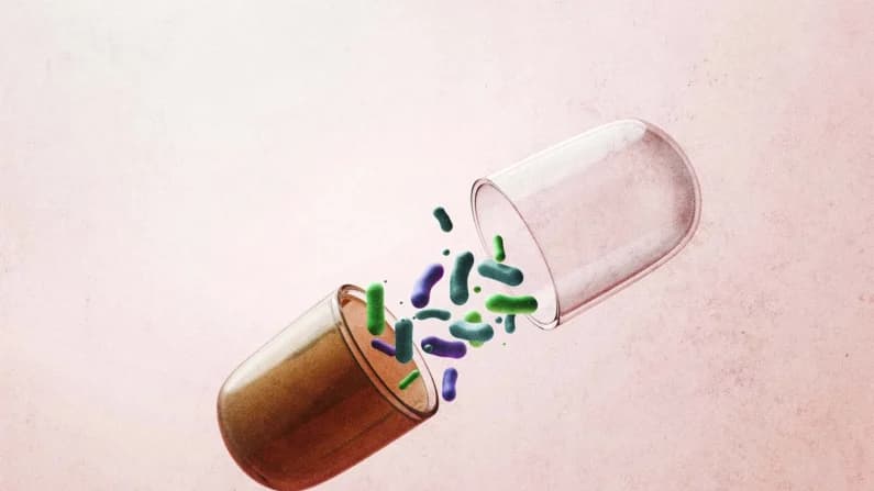 Estadounidenses toman suplementos para la salud intestinal, pero se olvidan de algo más importante