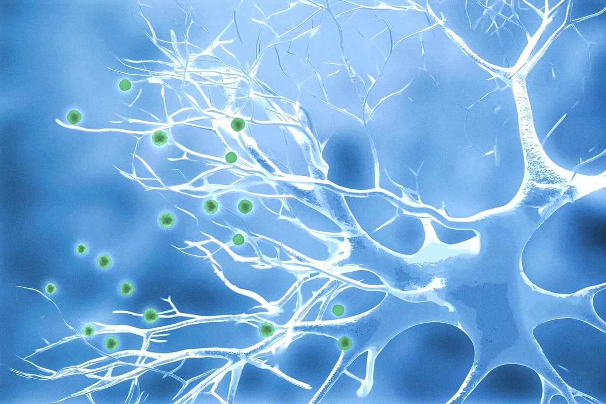 Será la enfermedad de Parkinson una epidemia provocada por el hombre. (The Epoch Times/Shutterstock).
