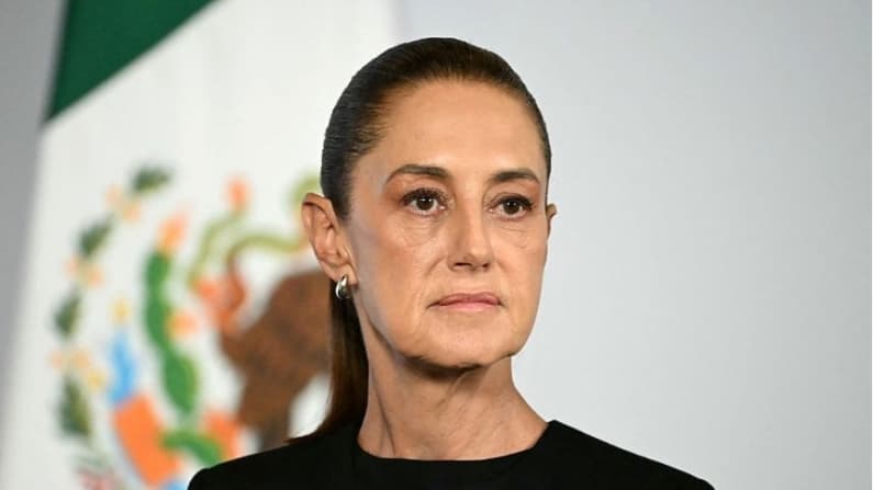 México acuerda reforzar la seguridad laboral y sanidad para fortalecer la industria del aguacate