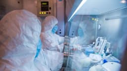 Alerta de salud en Rusia tras la muerte de un trabajador de laboratorio contra la peste