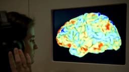 Investigadores desarrollan herramienta de IA para "leer la mente" que reconstruye lo que ven tus ojos