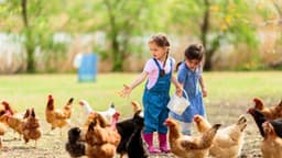 ¿Cuánta muerte es demasiada para un niño?
