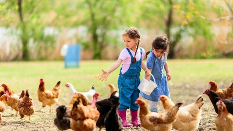 ¿Cuánta muerte es demasiada para un niño?