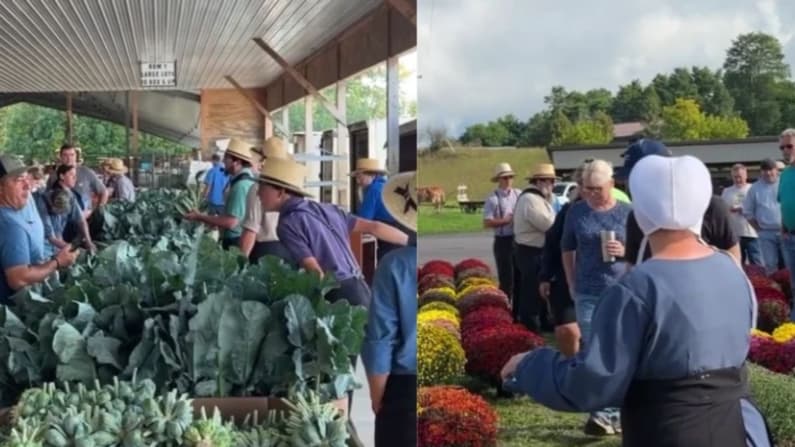 Familias amish sopesan su futuro mientras continúa la lucha por la vacuna en Nueva York