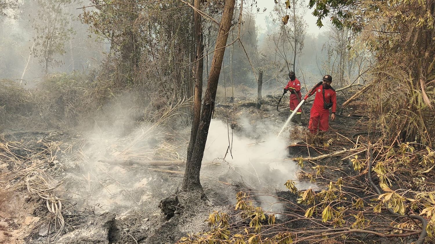 La ola de incendios forestales en Indonesia afecta desde agosto a millones de personas y tiene acorralado al Gobierno, que enfrenta demandas ciudadanas y críticas de ambientalistas, y promete castigar a empresas responsables de quemar miles de hectáreas en el epicentro mundial del aceite de palma. (EFE/ Badan Nasional Penanggulangan Bencana (BNPB), Junta Nacional de Gestión de Desastres de Indonesia)
