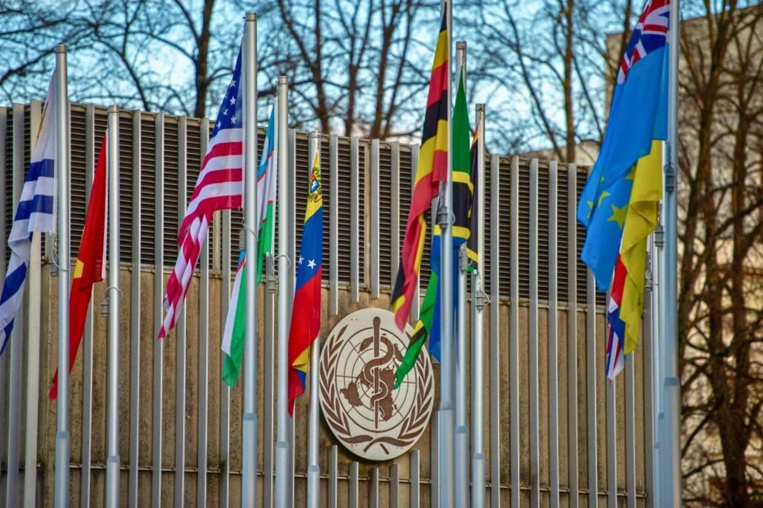 El logotipo de la Organización Mundial de la Salud (OMS) y la bandera de EE. UU. en la sede de la OMS en Ginebra el 23 de enero de 2025. (Robert Hradil/Getty Images).