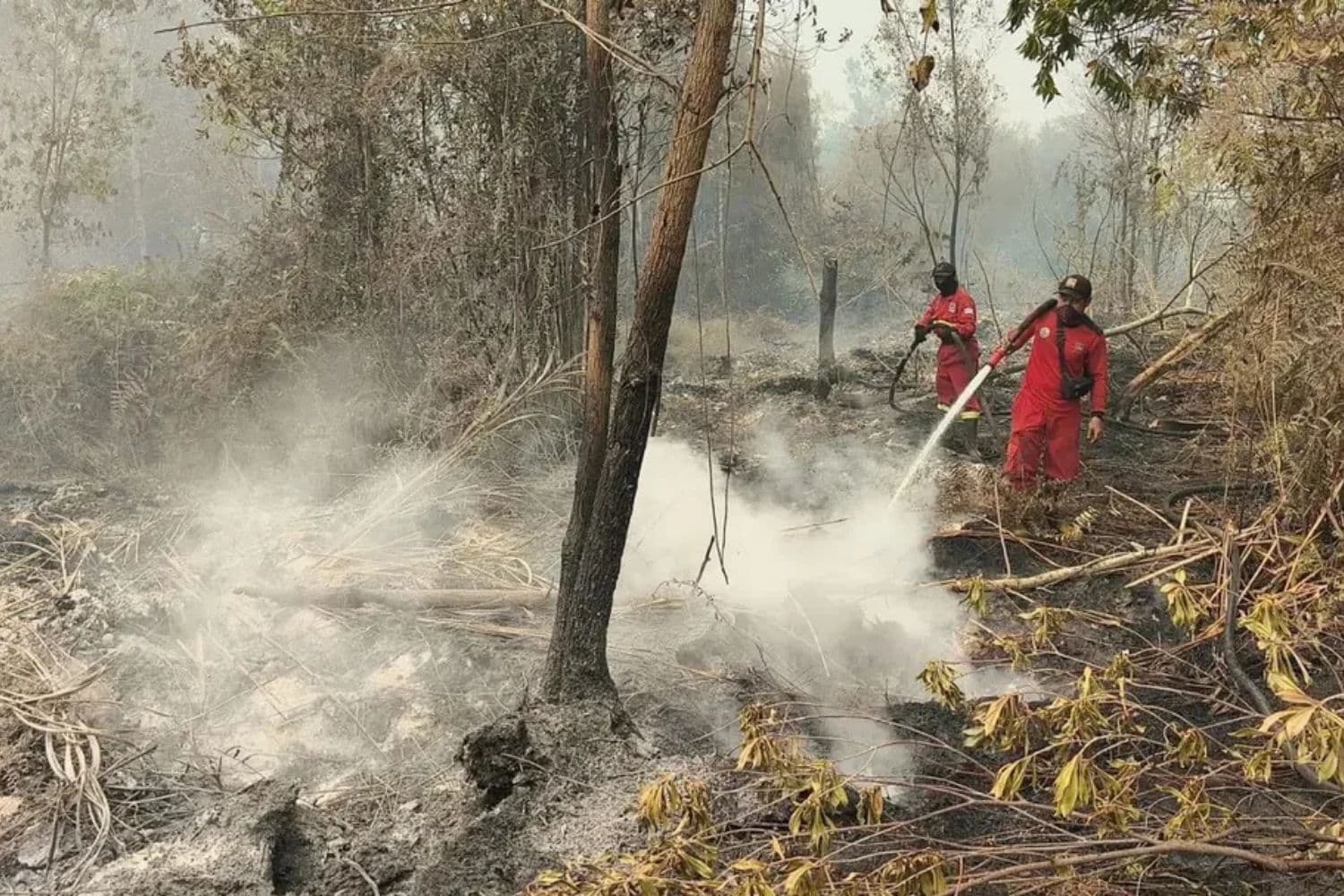 Incendios en Indonesia extienden una nube de humo tóxico sobre Singapur y Kuala Lumpur