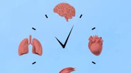 Décadas antes de enfermar, la edad de los órganos puede revelar amenazas para la salud