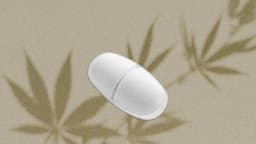 El efecto relajante del cannabis podría ser un placebo: estudio