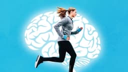 Cómo cambia el cerebro con el ejercicio a corto y largo plazo