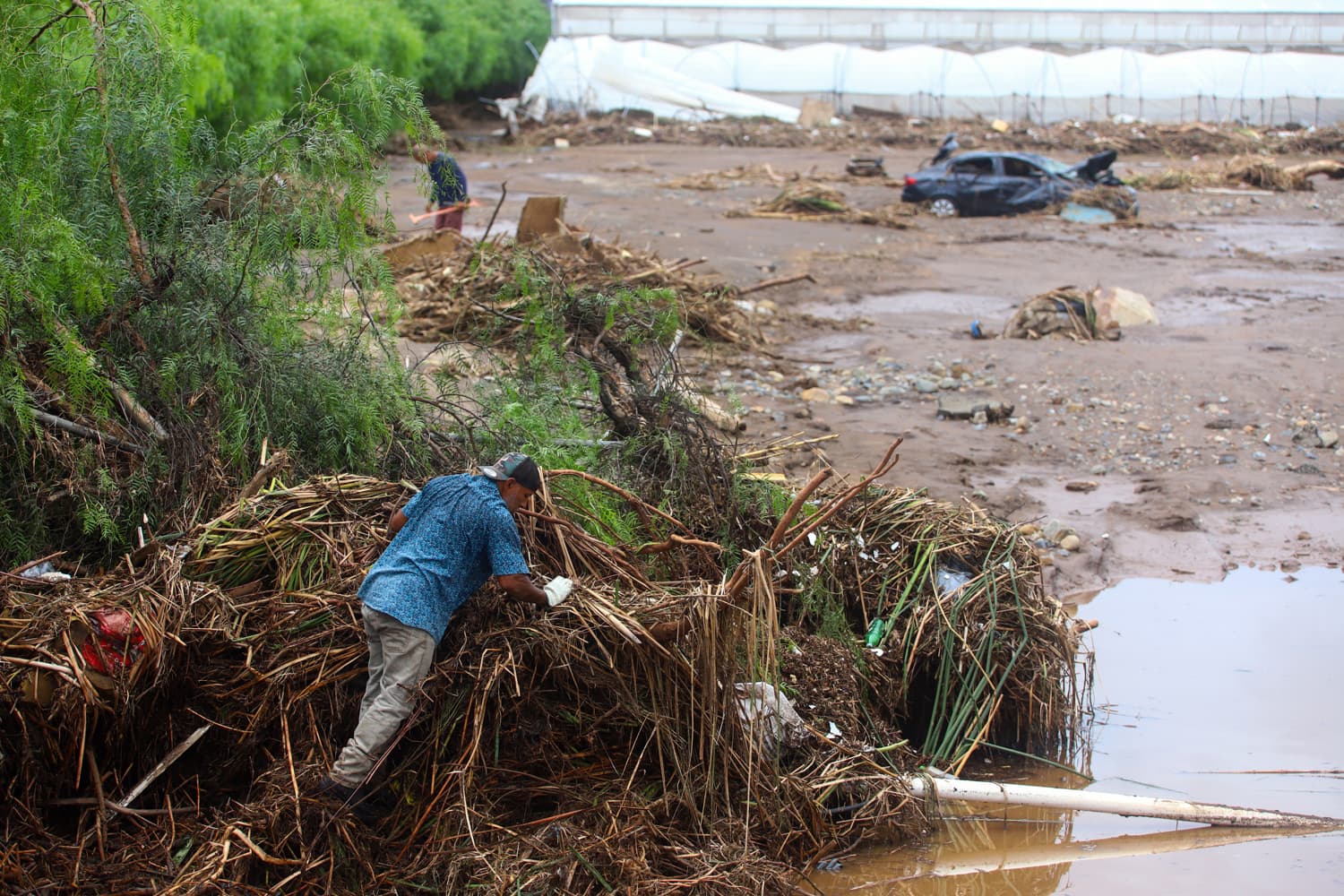 Personas realizan labores de búsqueda de damnificados por las fuertes lluvias tras el huracán Rachel, el pasado lunes en Ensenada, México. (EFE/ Alejandro Zepeda)
